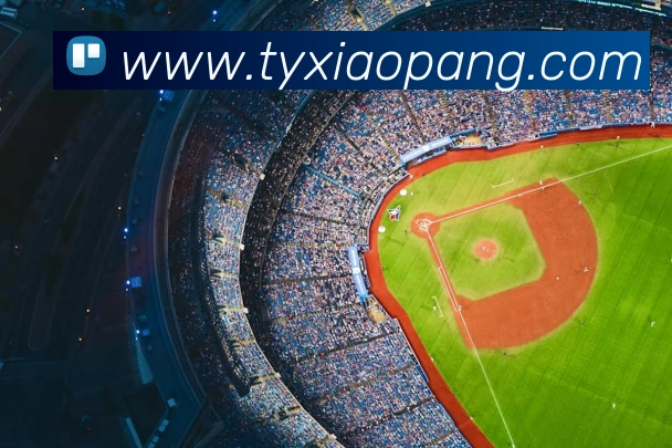 欧宝体育APP 封面图